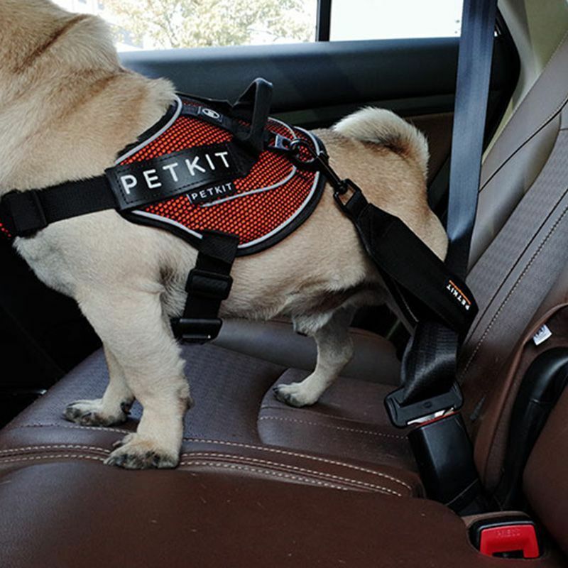 Genuine PETKIT Adjustable Pet Safety Car Vehicle Nylon Genuine PETKIT Adjustable Pet Safety Car Vehicle Nylon